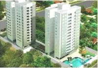 /album/galeria-de-fotos-fotos/araucarias-esta-bmt-jpg1/